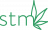 stm logo