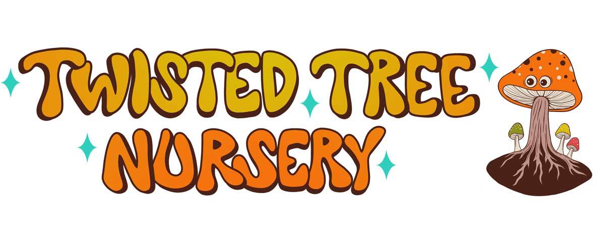 TWISTED TREE NURSERY ETSY 1