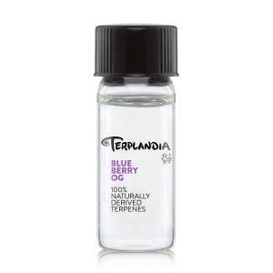 Blue Berry OG Terpene Terplandia
