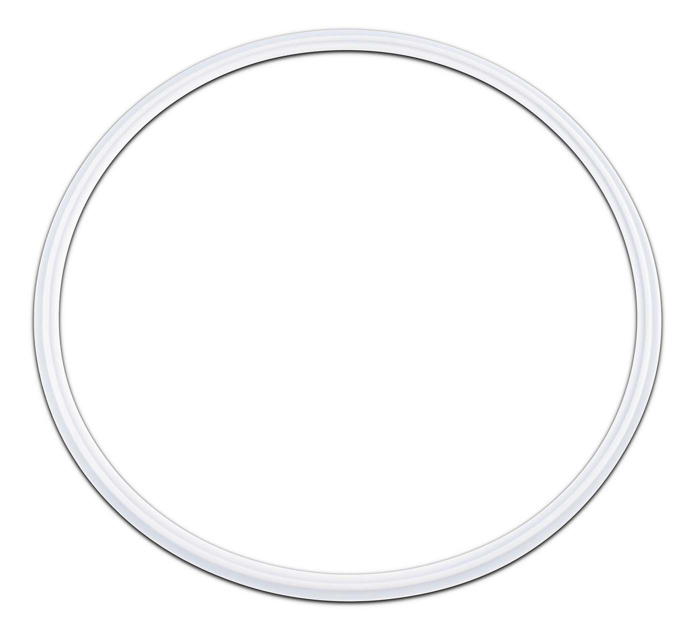 PTFE Envelope Tri-Clamp Gaskets with Viton Filler Shop All Categories BVV 12-inch