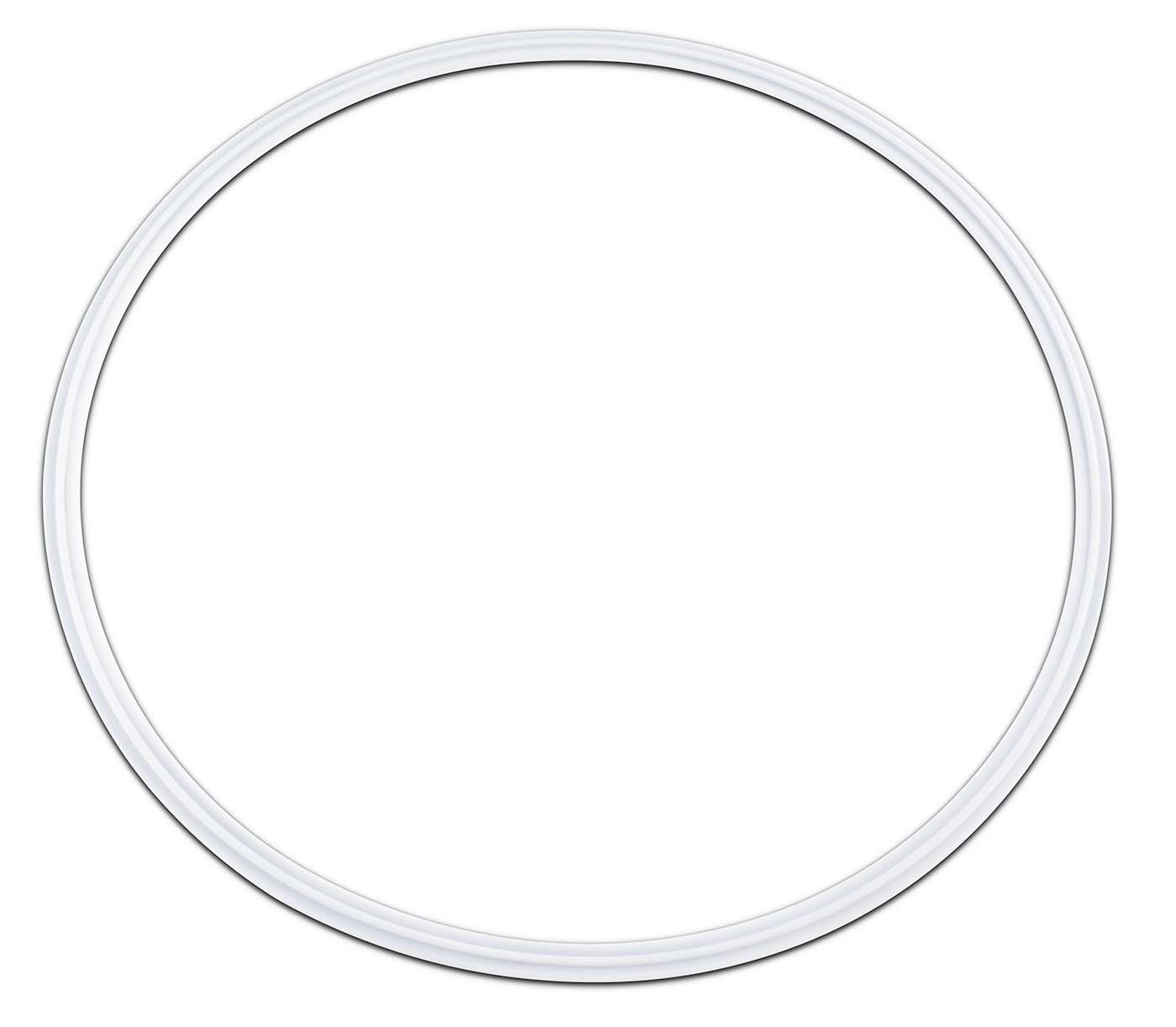 PTFE Envelope Tri-Clamp Gaskets with Viton Filler Shop All Categories BVV 10-inch