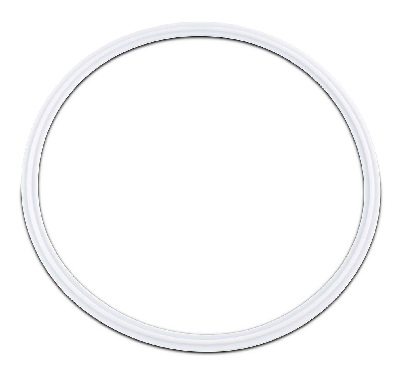 PTFE Envelope Tri-Clamp Gaskets with Viton Filler Shop All Categories BVV 8-inch