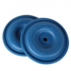 IMG 4709DiaphragmP120copy