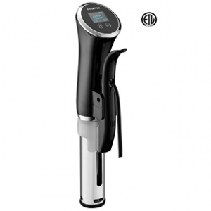 Submersible Heater and Circulator, 1200 watts