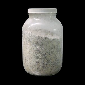 1 Gallon Glass Jars with Lids