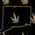 Mexico Supreme Court Decriminalizes Flower Use