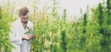 DEA to Finally License New Research Flower Growers