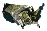 3 States Likely to Legalize Marijuana Next