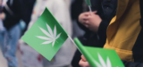 Minnesota Senate Approves Flower Legalization Bill
