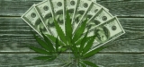 Missouri Medical Flower Sales Reach New Record in June