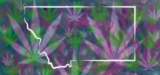 Montana Gov. Signs Adult-Use Flower Implementation Bill