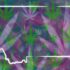 Connecticut Senate Passes Legalization Bill, Gov. Plans to Sign