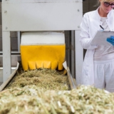 Penn State Awarded $1M for Developing Industrial Hemp Projects