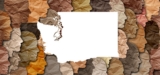 Washington Gov. Signs Flower Social Equity Bill